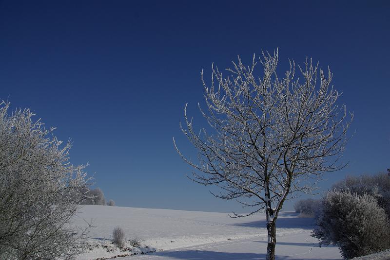 IMGP4866.JPG