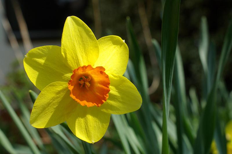 IMGP0973.JPG