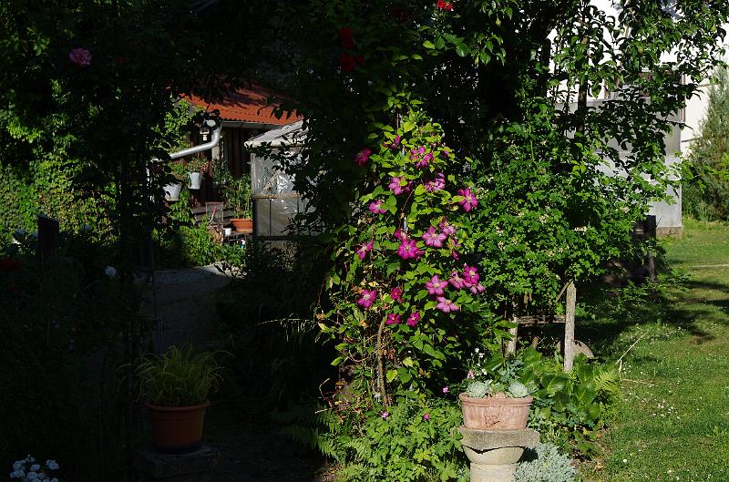 IMGP1449.JPG