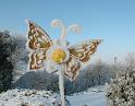 DSCg_4492